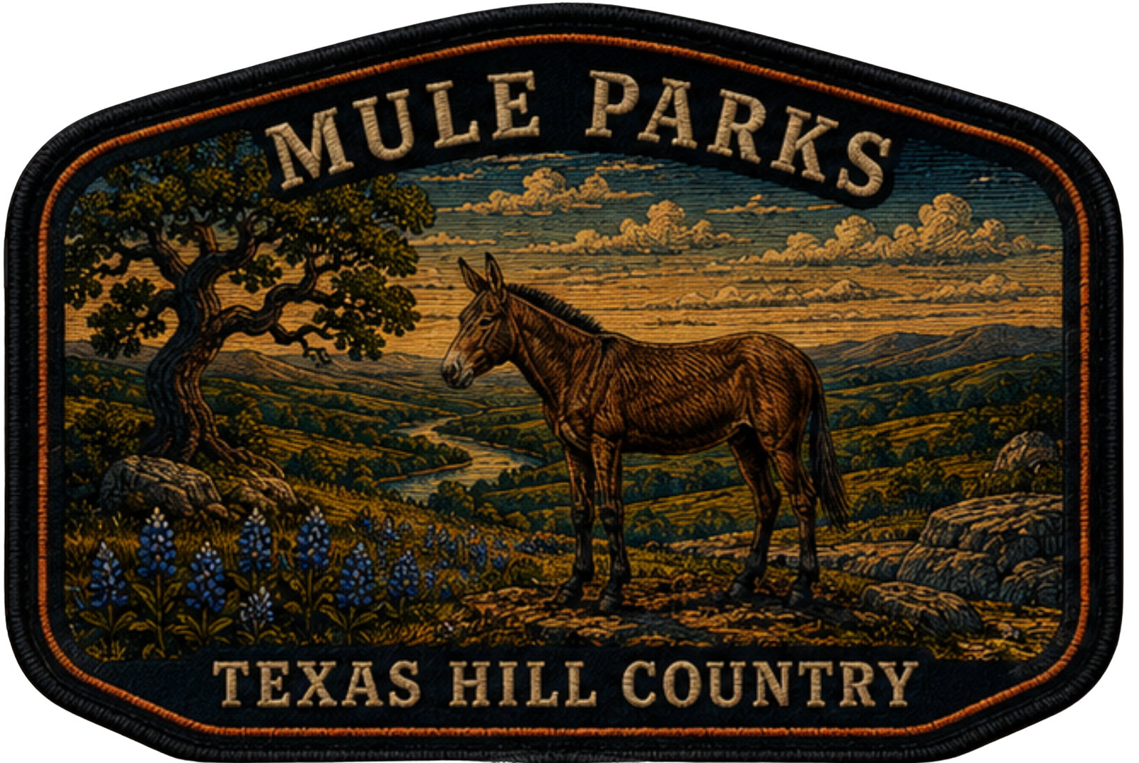 Mule Parks Texas Hill Country